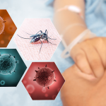 Dengue VirDiagnostic Tests